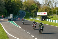 Evening Low_Mid Group Black Bikes